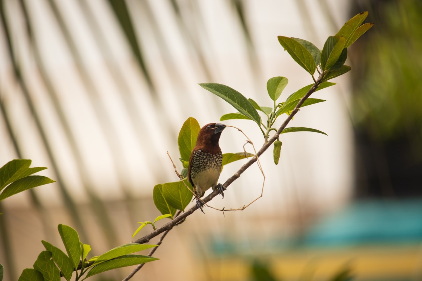 Eine Weltreise durch die Vogelperspektive